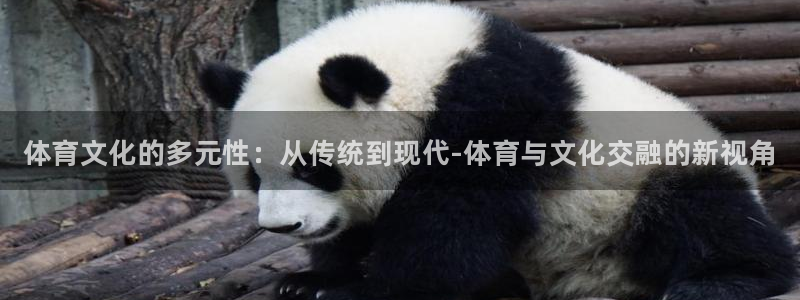 3377体育官网下载：体育文化的多元性：从传统到现代