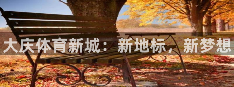 3377体育官网下载平台注册流程图：大庆体育新城：新