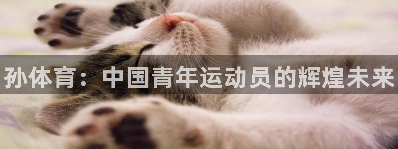 3377体育官网下载招商电话号码查询是多少：孙体育：