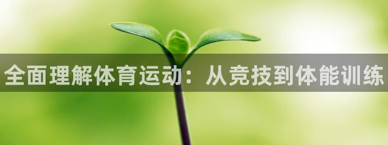 3377体育官网下载是干嘛的公司：全面理解体育运动：