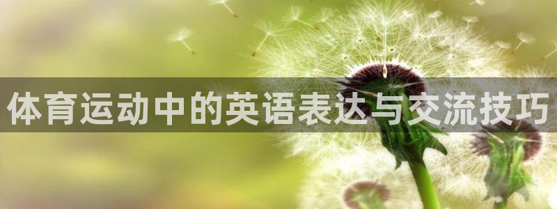 3377体育官方正版app集团：体育运动中的英语表达