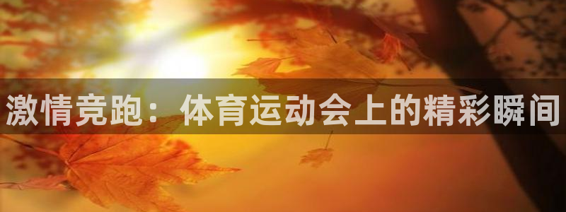 3377体育官网下载招商：激情竞跑：体育运动会上的精