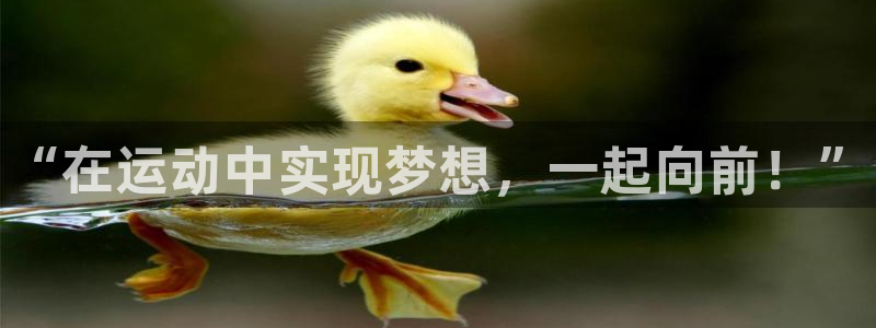 3377体育官方正版app新能源：“在运动中实现梦想，一起向