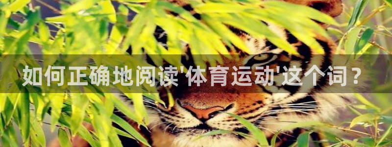 3377体育官方正版app娱乐40996：如何正确地阅读\'