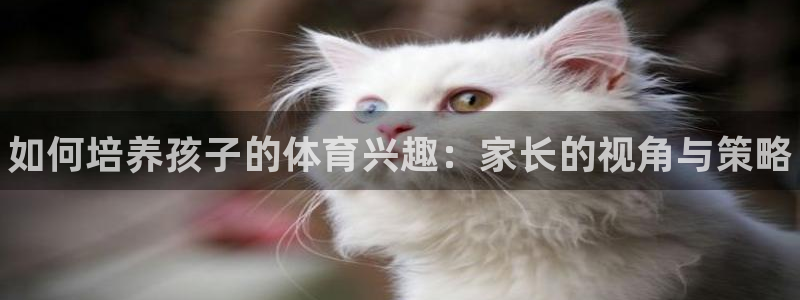 海南3377体育官网下载：如何培养孩子的体育兴趣：家