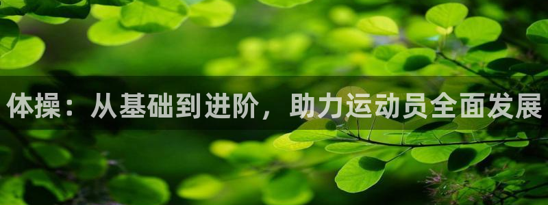 3377体育官网下载招商电话是多少啊：体操：从基础到进阶，助