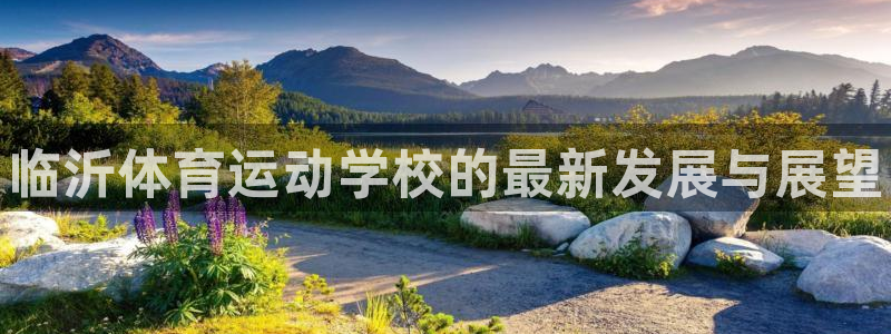 3377体育官方正版app集团logo
