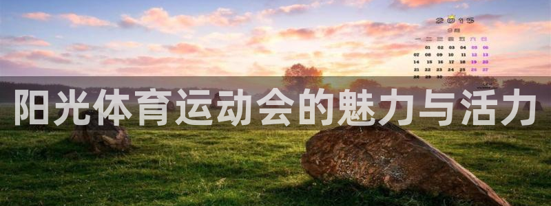 3377体育官网下载平台是正规平台吗安全吗：阳光体育运动会的