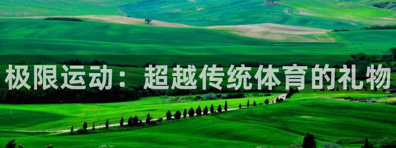 3377体育官网下载招商电话是多少号码