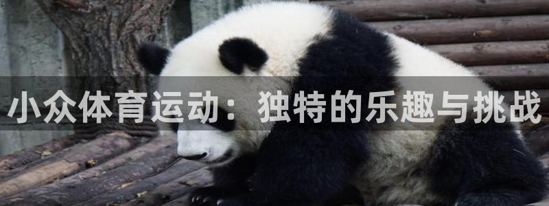 3377体育官网下载招商电话地址查询：小众体育运动：独特的乐