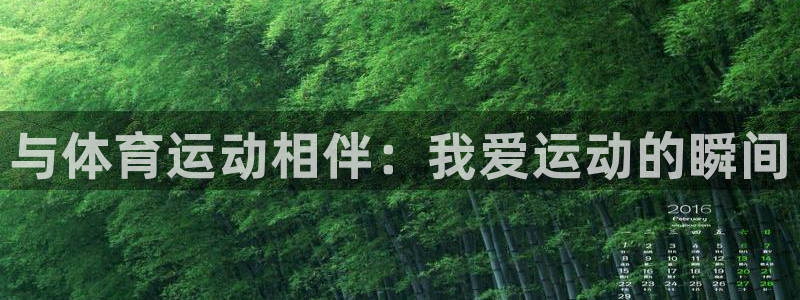 3377体育官方正版app娱乐平台