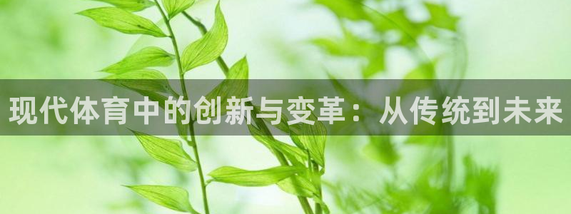 3377体育官网下载招商电话是多少