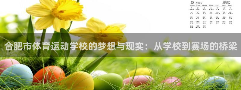 3377体育官网下载娱乐：合肥市体育运动学校的梦想与