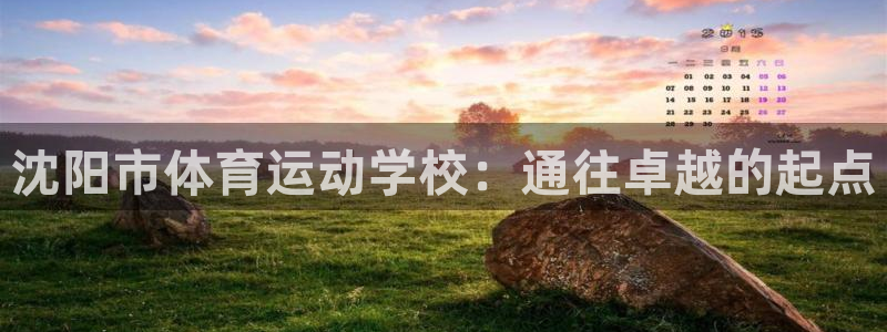 3377体育官方正版app娱乐40996：沈阳市体育