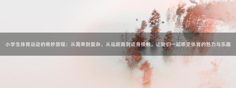 3377体育官网下载：小学生体育运动的奇妙旅程：从简