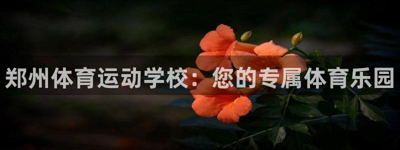 3377体育官网下载招商电话地址查询