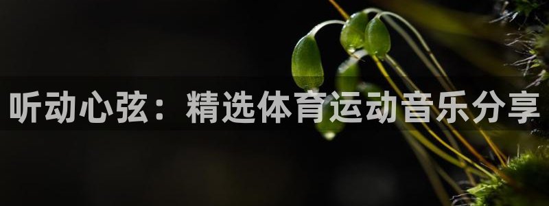 3377体育官网下载注册：听动心弦：精选体育运动音乐