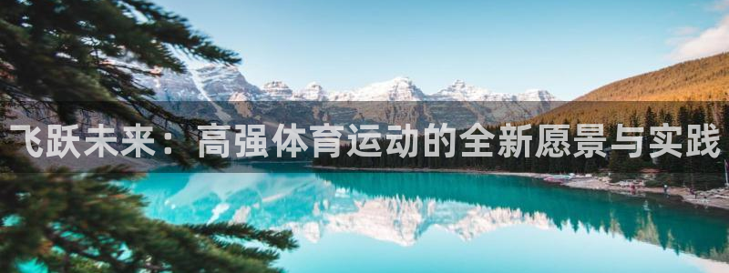 3377体育官方正版app集团简介:飞跃未来:高强体育运动的