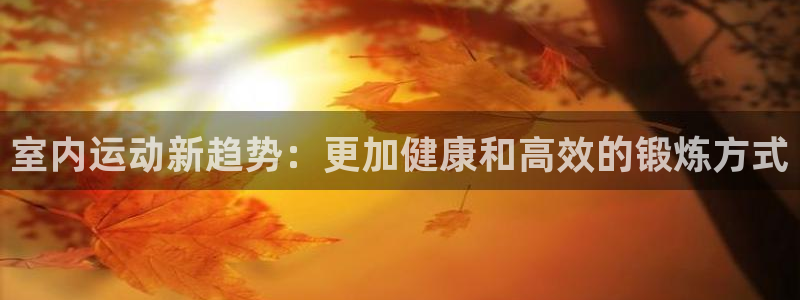 3377体育官网下载软件:室内运动新趋势:更加健康和高效的锻