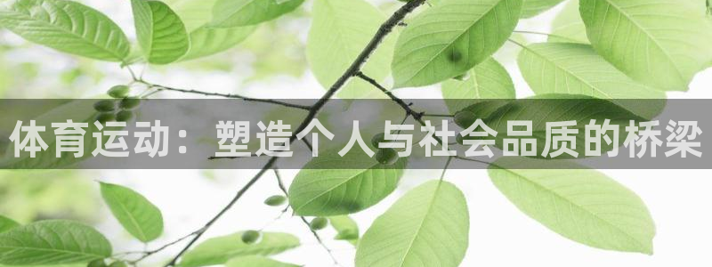 3377体育官方正版app五金厂：体育运动：塑造个人与社会品