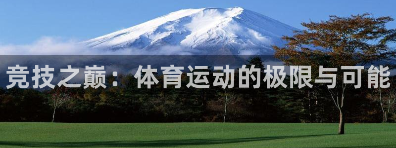 3377体育官方正版app开户：竞技之巅：体育运动的极限与可