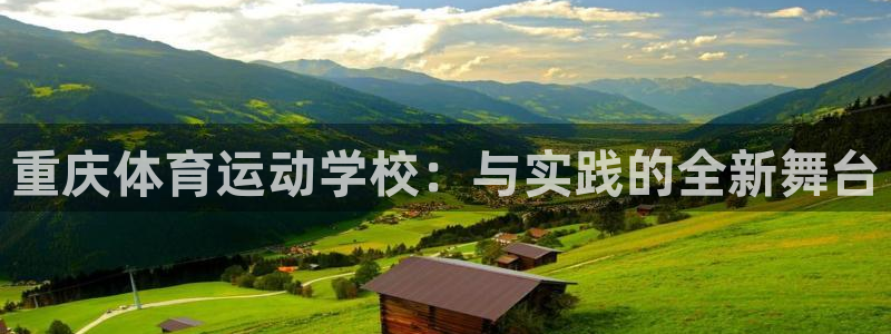 3377体育官方正版app新能源