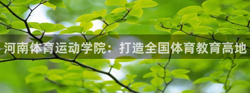 海南3377体育官网下载：河南体育运动学院：打造全国体育教育