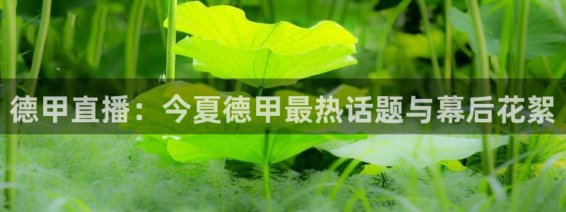 斗球直播app下载苹果手机版：德甲直播：今夏德甲最热话题与幕后花絮