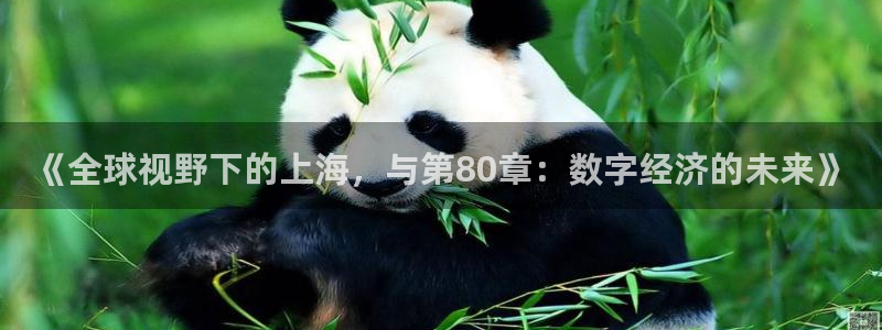 斗球直播入口免费：《全球视野下的上海，与第80章：数字经济的未来》