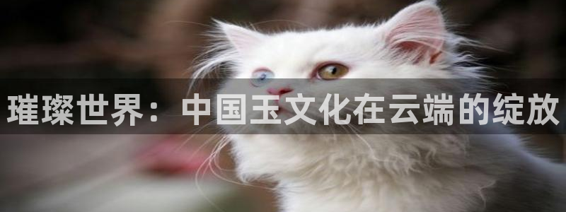 dqivip斗球直播下载：璀璨世界：中国玉文化在云端的绽放