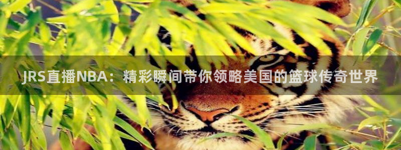 斗球直播免费观看：JRS直播NBA：精彩瞬间带你领略美国的篮球传奇世界