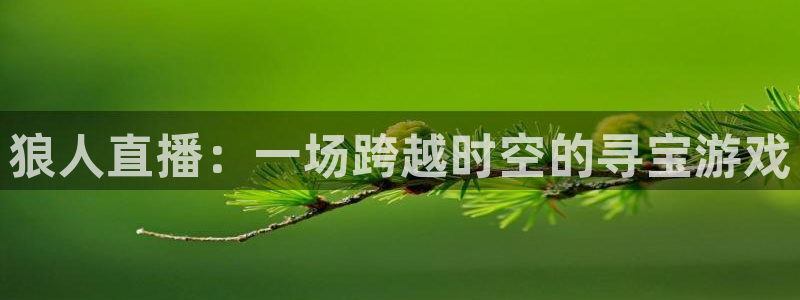 斗球tv：狼人直播：一场跨越时空的寻宝游戏