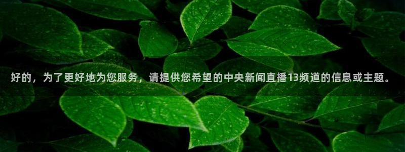 斗球足球直播：好的，为了更好地为您服务，请提供您希望的中央新闻直播13频道的信息或主题。