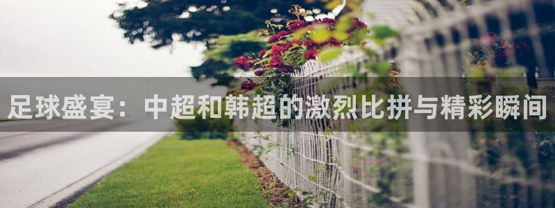 斗球直播app苹果下载：足球盛宴：中超和韩超的激烈比拼与精彩瞬间