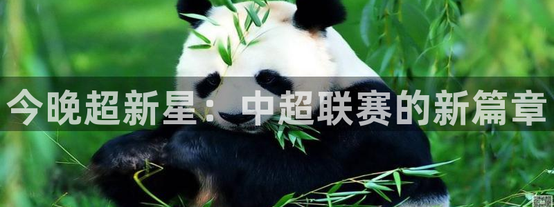 斗球直播老版本app：今晚超新星：中超联赛的新篇章