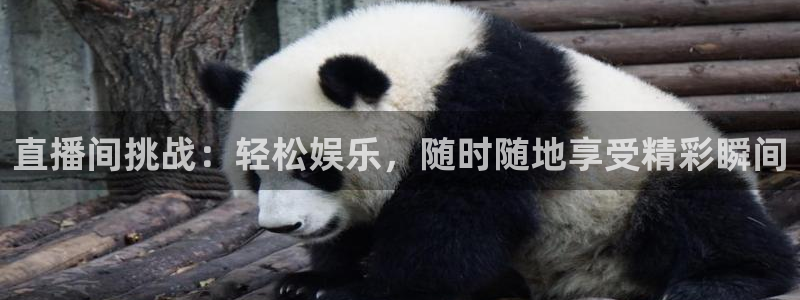 斗球体育直播app下载2023最新版：直播间挑战：轻松娱乐，随时随地享受精彩瞬间