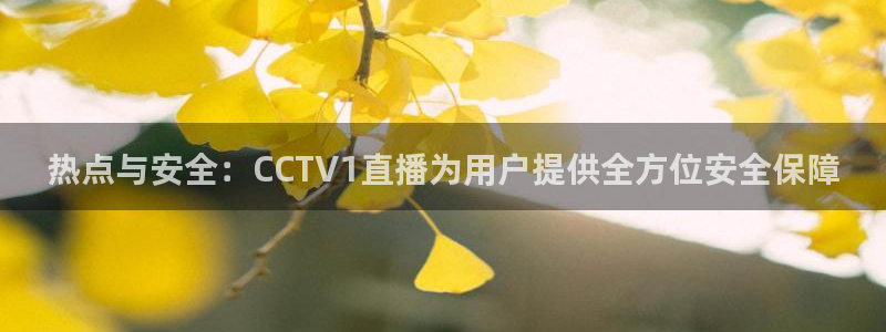 斗球直播ufc直播：热点与安全：CCTV1直播为用户提供全方位安全保障