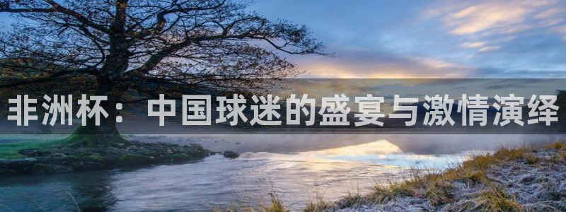 斗球体育app手机版：非洲杯：中国球迷的盛宴与激情演绎